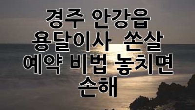 경주 안강읍 용달이사 🚚💨 쏜살 예약 비법! 놓치면 손해 💸